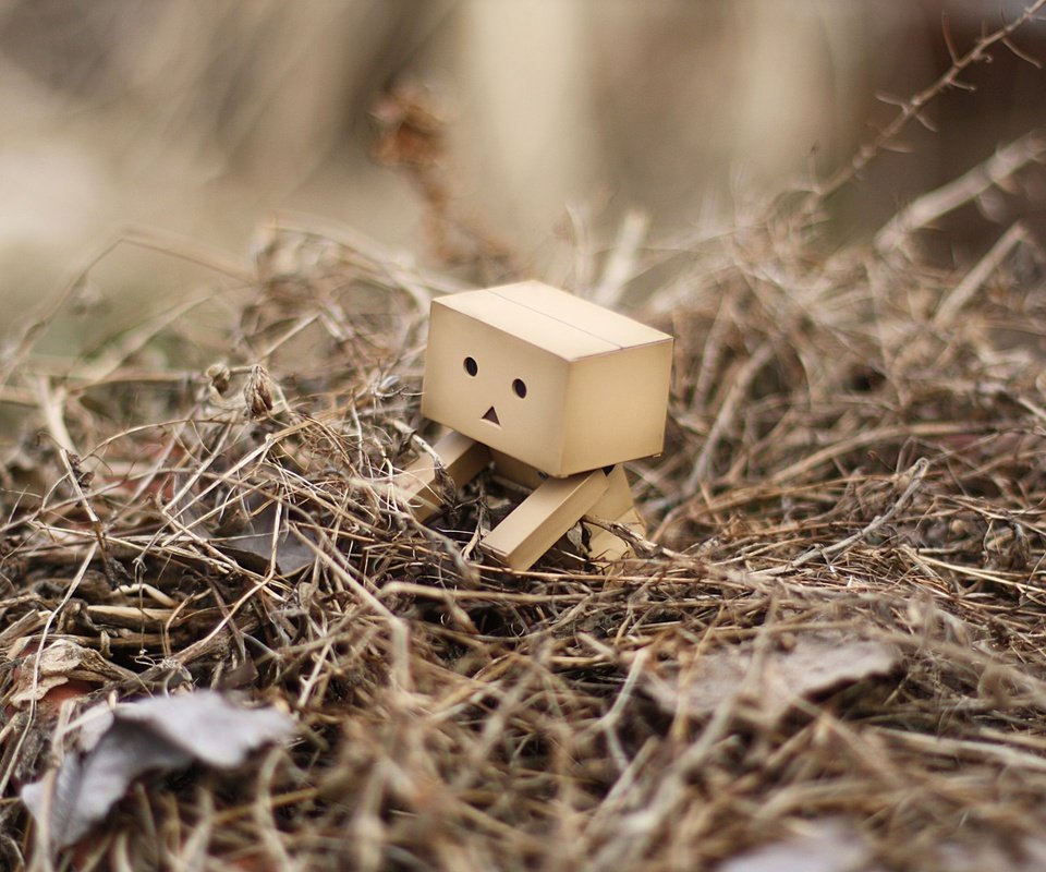 Обои трава, листья, робот, куча, данбо, дамбо, grass, leaves, robot, a bunch, danbo, dumbo разрешение 2560x1600 Загрузить