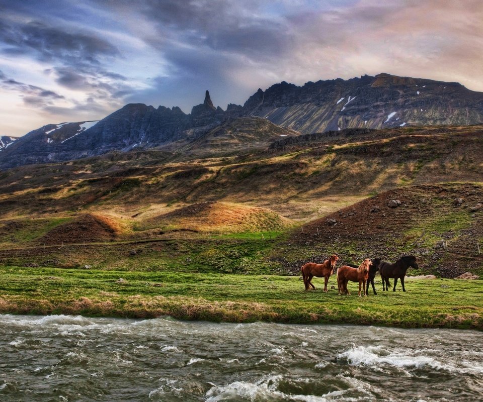 Обои облака, река, горы, лошади, clouds, river, mountains, horse разрешение 2560x1600 Загрузить