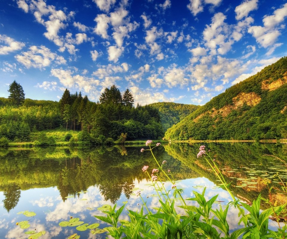 Обои облака, деревья, вода, озеро, лес, отражение, кувшинки, clouds, trees, water, lake, forest, reflection, water lilies разрешение 1920x1200 Загрузить