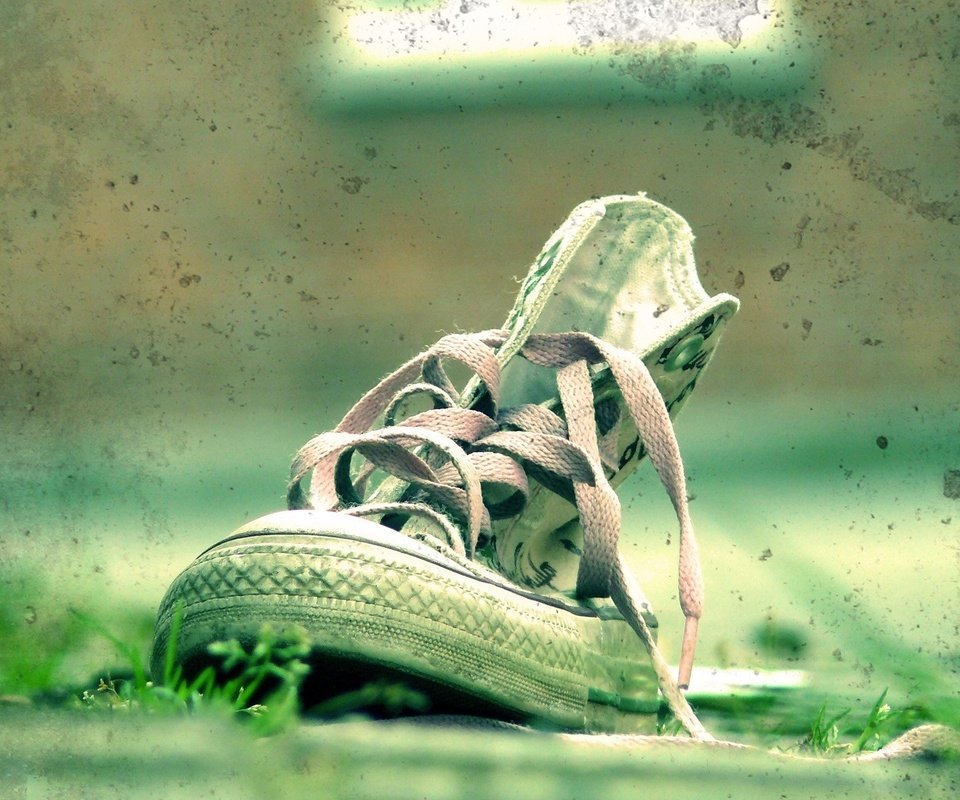 Обои трава, зелёный, кеды, пятна, обувь, шнурки, grass, green, sneakers, spot, shoes, laces разрешение 1920x1200 Загрузить