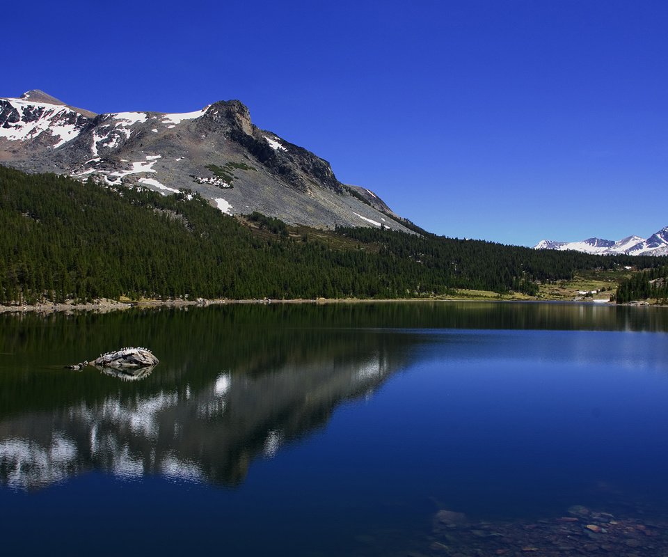 Обои небо, йосемити, облака, озеро тиога, tioga lake, деревья, озеро, горы, лес, лето, калифорния, the sky, yosemite, clouds, trees, lake, mountains, forest, summer, ca разрешение 1920x1080 Загрузить