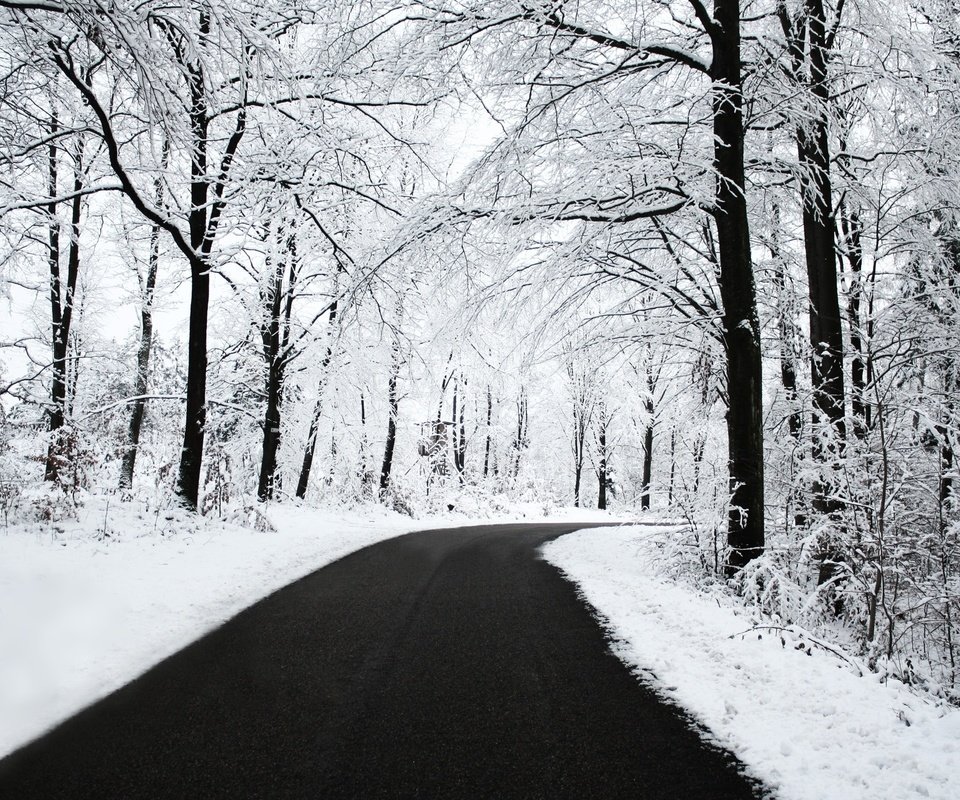 Обои дорога, снег, лес, зима, road, snow, forest, winter разрешение 2560x1600 Загрузить