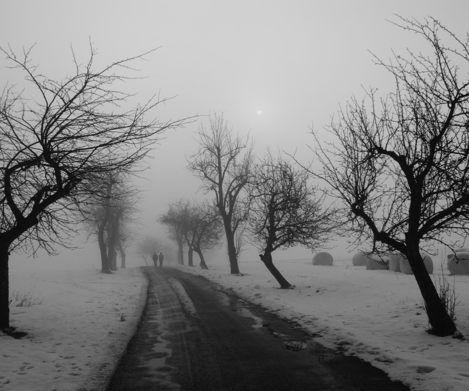 Обои дорога, деревья, зима, чёрно-белое, road, trees, winter, black and white разрешение 2560x1600 Загрузить