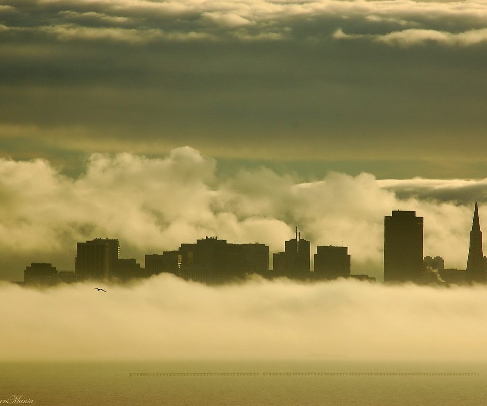 Обои туман, чайка, здания, fog, seagull, building разрешение 1920x1440 Загрузить