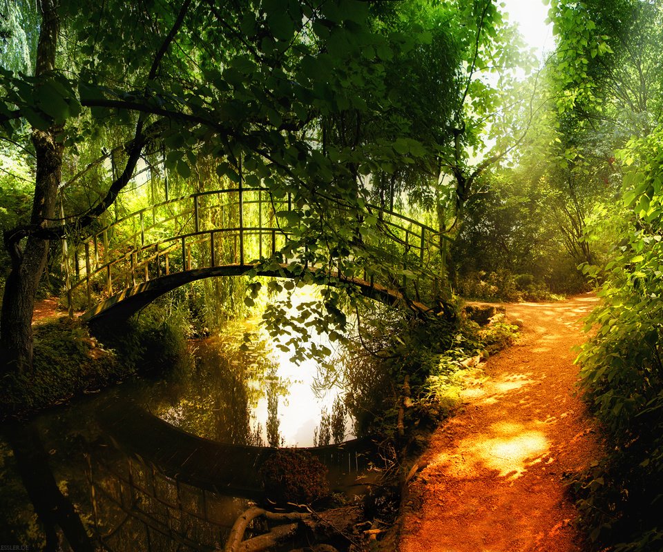 Обои мостик, лес, отражение, речка, the bridge, forest, reflection, river разрешение 1920x1200 Загрузить