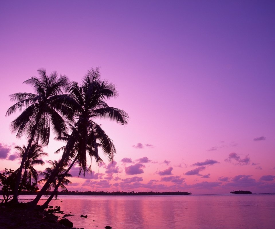 Обои восход, пальмы, отпуск, sunrise, palm trees, vacation разрешение 1920x1440 Загрузить