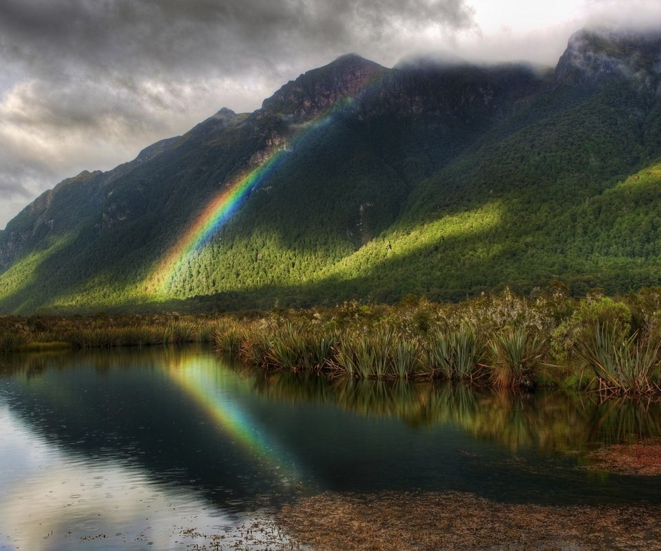 Обои деревья, радуга, водоем, дождь, trees, rainbow, pond, rain разрешение 2560x1600 Загрузить