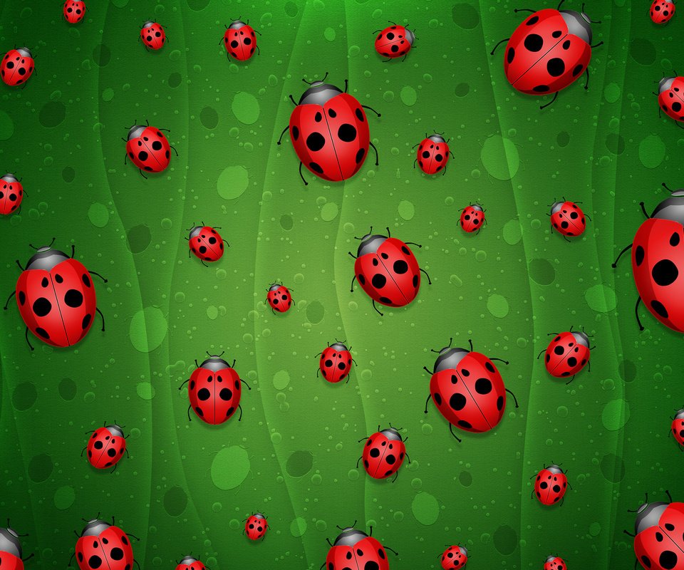 Обои зелёный, фон, божьи коровки, green, background, ladybugs разрешение 2560x1600 Загрузить