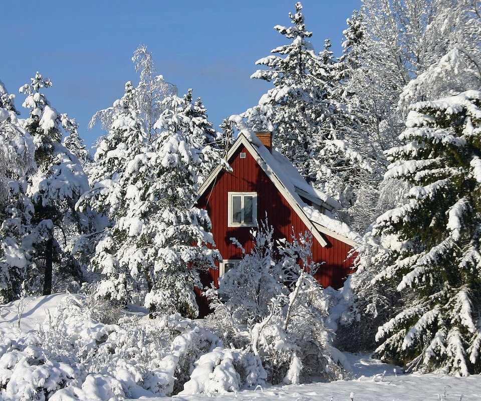 Обои деревья, зима, дом, trees, winter, house разрешение 1920x1200 Загрузить