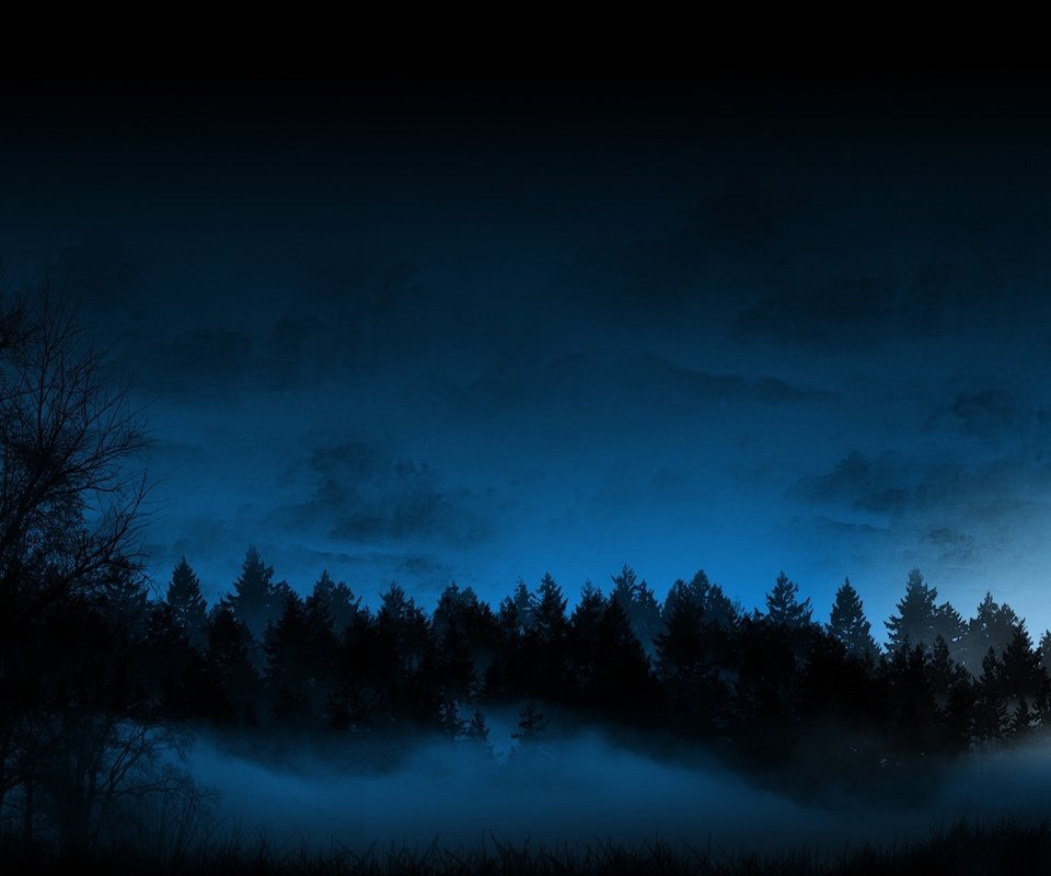 Обои ночь, лес, туман, night, forest, fog разрешение 1920x1200 Загрузить