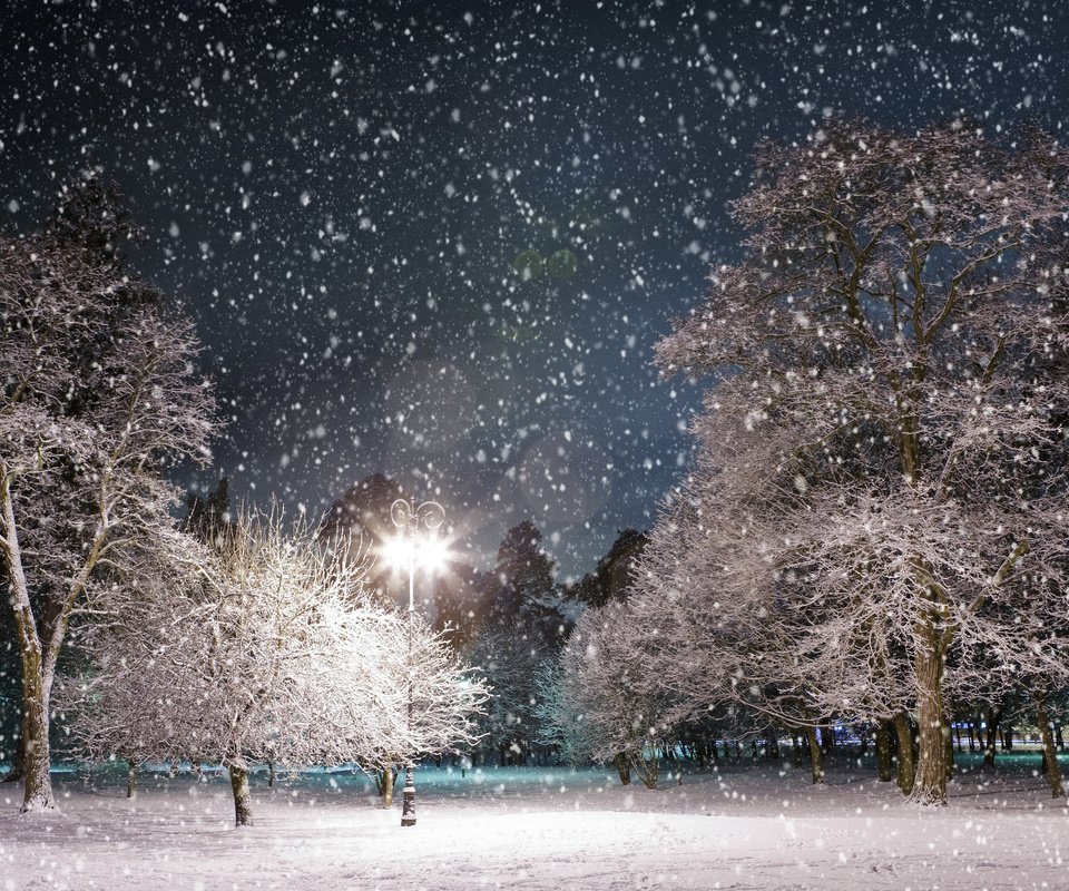 Обои ночь, деревья, снег, зима, парк, фонарь, night, trees, snow, winter, park, lantern разрешение 3984x2516 Загрузить