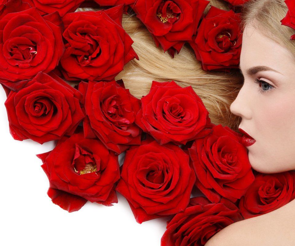 Обои цветы, девушка, блондинка, роза, красный, flowers, girl, blonde, rose, red разрешение 2560x1600 Загрузить