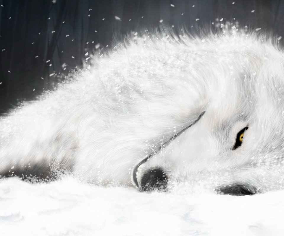 Обои рисунок, белый, волк, волчий дождь, figure, white, wolf, wolf's rain разрешение 1920x1200 Загрузить