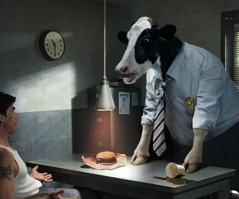 Обои корова, допрос, следователь, cow, questioning, the investigator разрешение 2000x1325 Загрузить