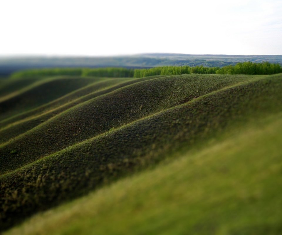 Обои зелень, склон долины, greens, the slope of the valley разрешение 1920x1200 Загрузить