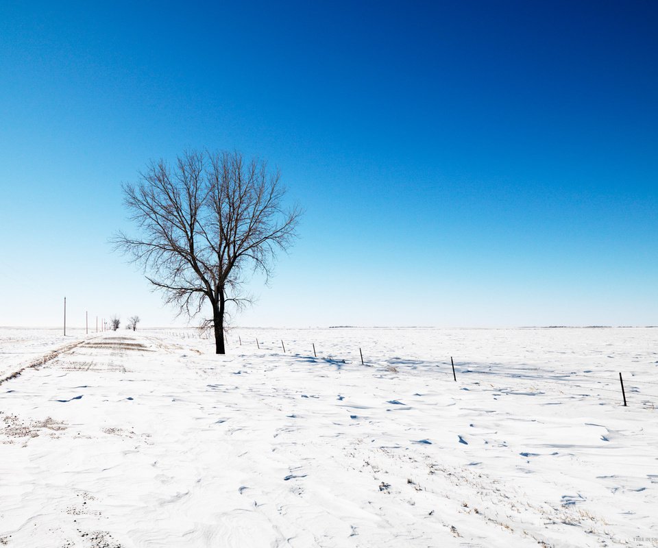 Обои небо, дорога, снег, дерево, зима, the sky, road, snow, tree, winter разрешение 2560x1600 Загрузить