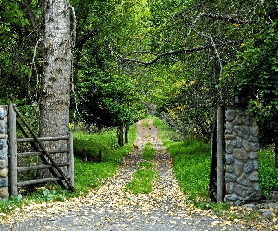 Обои дорога, лес, ворота, road, forest, gate разрешение 1920x1200 Загрузить