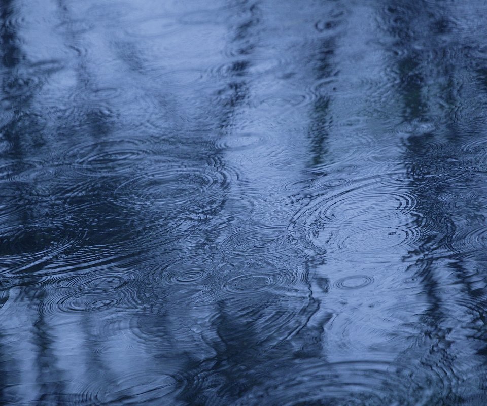 Обои вода, отражение, осень, дождь, лужа, water, reflection, autumn, rain, puddle разрешение 2560x1600 Загрузить