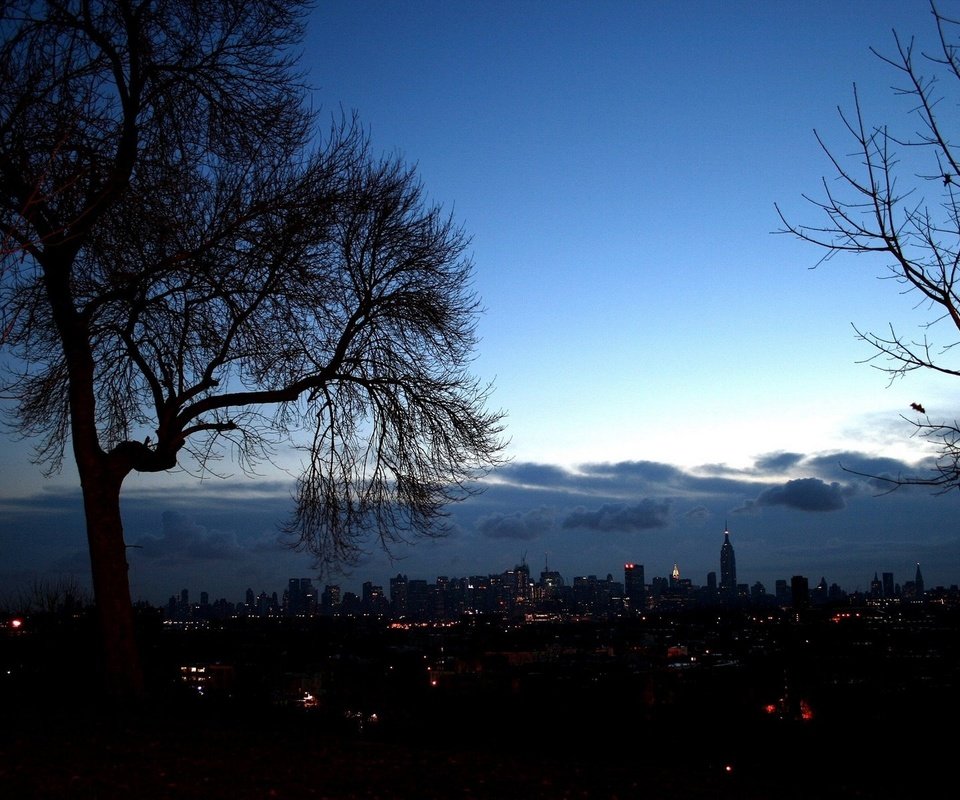 Обои деревья, вечер, город, нью-йорк, trees, the evening, the city, new york разрешение 1920x1200 Загрузить