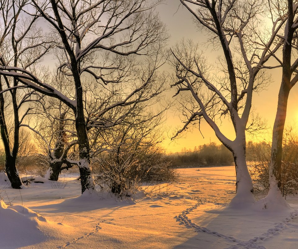 Обои деревья, солнце, снег, зима, trees, the sun, snow, winter разрешение 3327x2200 Загрузить