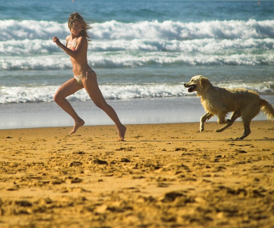 Обои берег, бег, девушка, настроение, море, песок, пляж, собака, игра, shore, running, girl, mood, sea, sand, beach, dog, the game разрешение 1920x1440 Загрузить