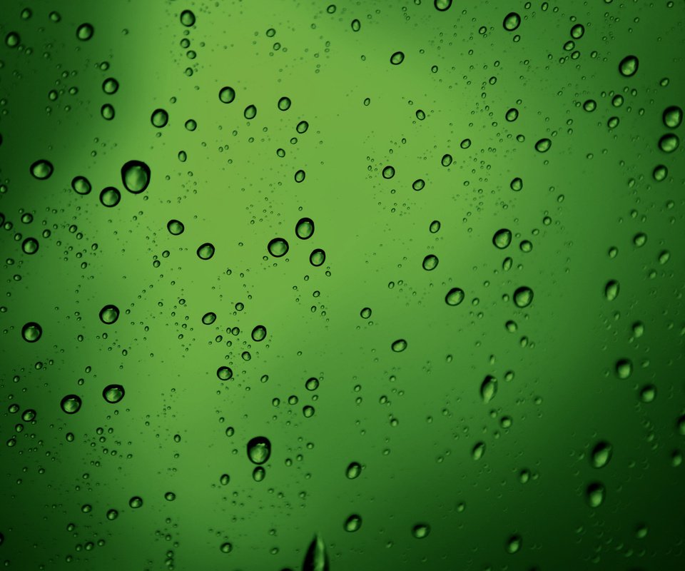 Обои обои, текстура, зелёный, макро, капли, пузыри, бульки, green texture, water drops style, wallpaper, texture, green, macro, drops, bubbles, bulka разрешение 2560x1600 Загрузить