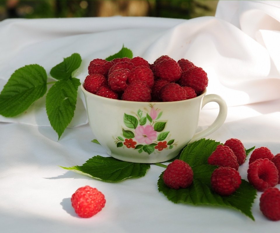 Обои малина, кружка, листики, raspberry, mug, leaves разрешение 2048x1536 Загрузить