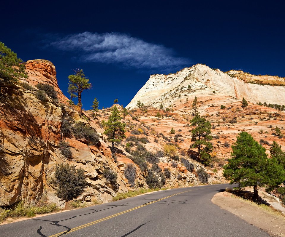 Обои небо, дорога, скалы, пустыня, юта, zion national park, the sky, road, rocks, desert, utah разрешение 2560x1600 Загрузить