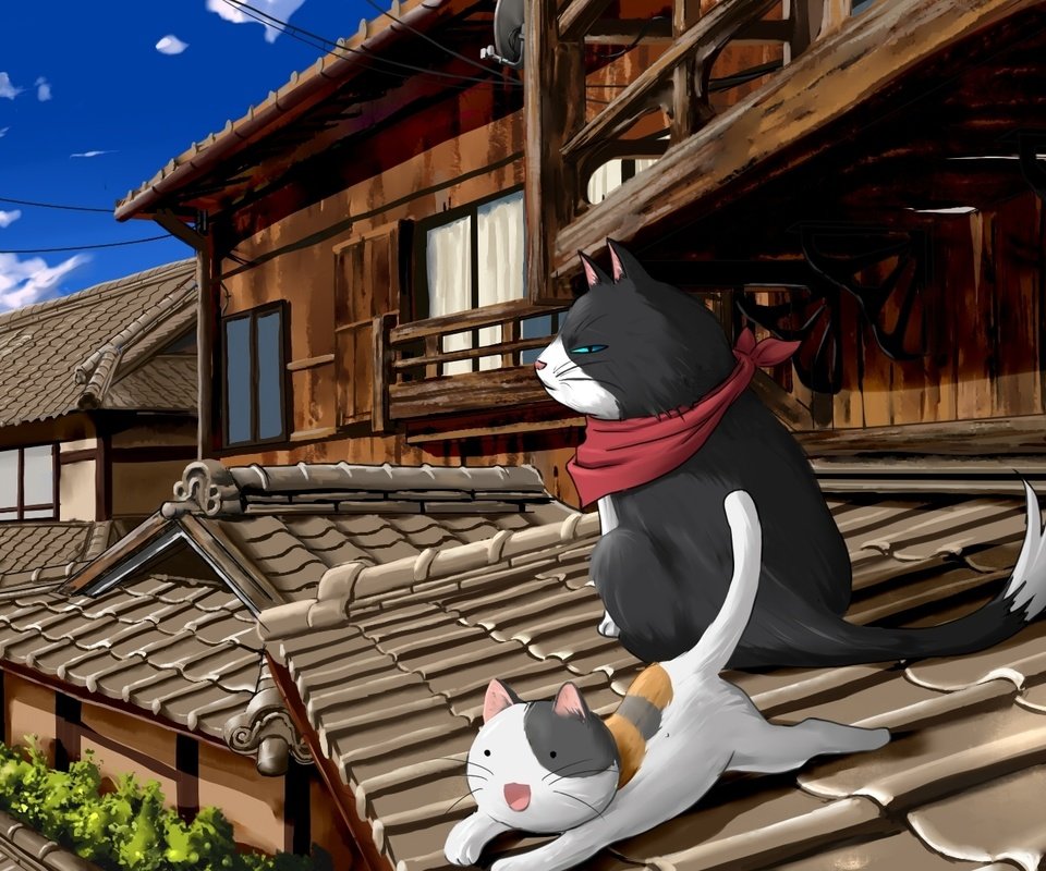 Обои коты, крыша, nyan koi, cats, roof разрешение 1920x1080 Загрузить