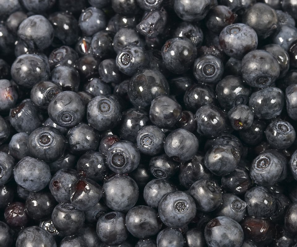 Обои черная, черника, сладкая, black, blueberries, sweet разрешение 2560x1600 Загрузить