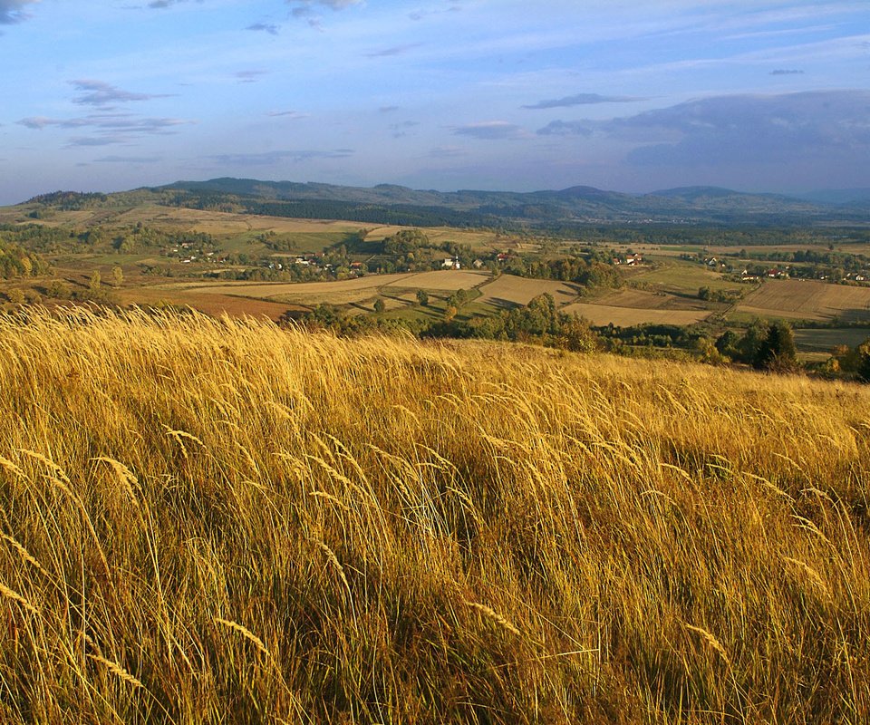 Обои поле, пшеница, польша, field, wheat, poland разрешение 1920x1200 Загрузить