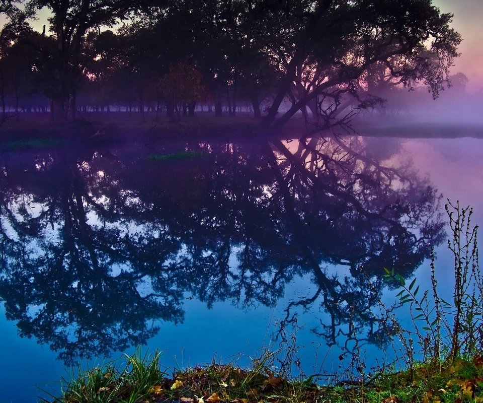 Обои деревья, река, лес, закат, отражение, trees, river, forest, sunset, reflection разрешение 1920x1200 Загрузить