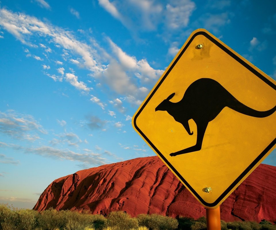 Обои австралия, знак, кенгуру, australia, sign, kangaroo разрешение 2560x1600 Загрузить