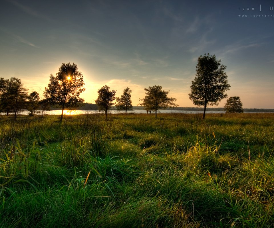 Обои трава, река, солнце, дерево, закат, grass, river, the sun, tree, sunset разрешение 1920x1200 Загрузить