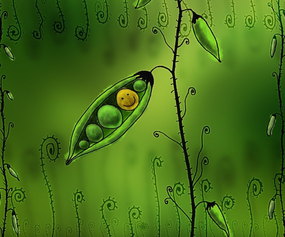 Обои рисунок, горох, смайл, figure, peas, smile разрешение 2560x1600 Загрузить