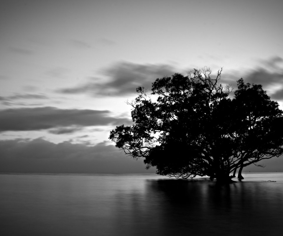 Обои вода, природа, дерево, тучи, чёрно-белое, water, nature, tree, clouds, black and white разрешение 1920x1080 Загрузить