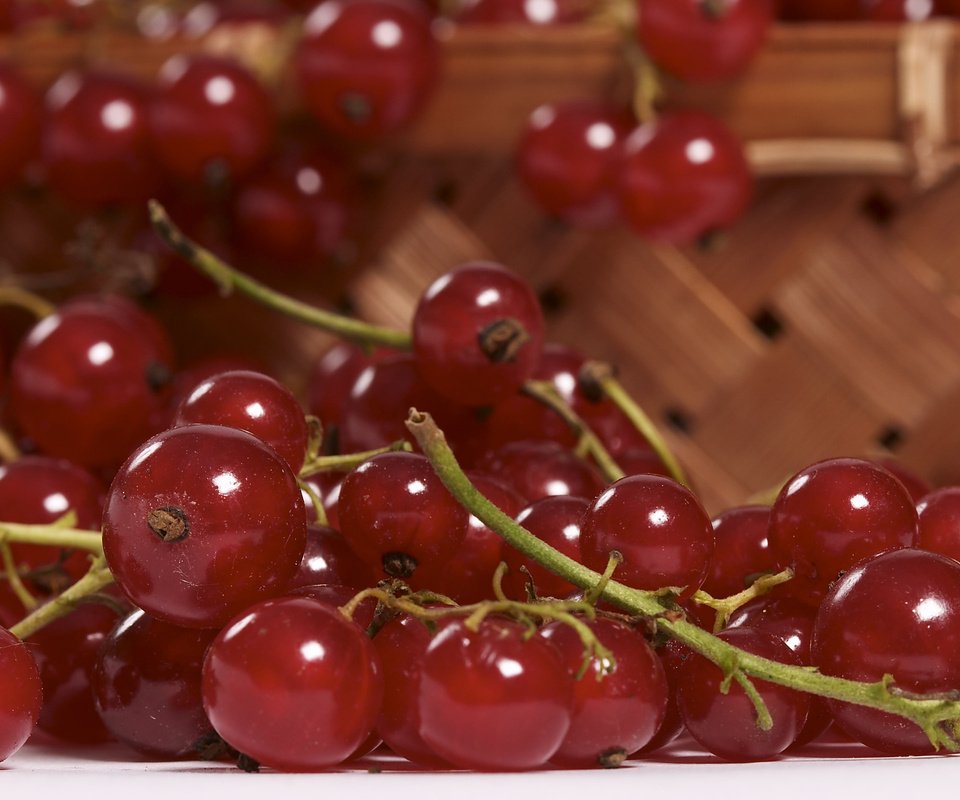 Обои макро, еда, ягоды, красная смородина, смородина, macro, food, berries, red currant, currants разрешение 2560x1600 Загрузить