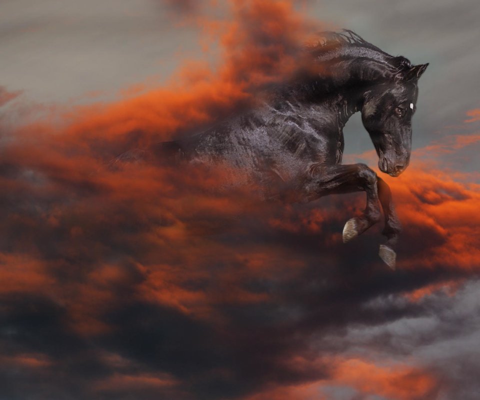 Обои лошадь, черный, апокалипсис, конь, horse, black, apocalypse разрешение 1920x1080 Загрузить