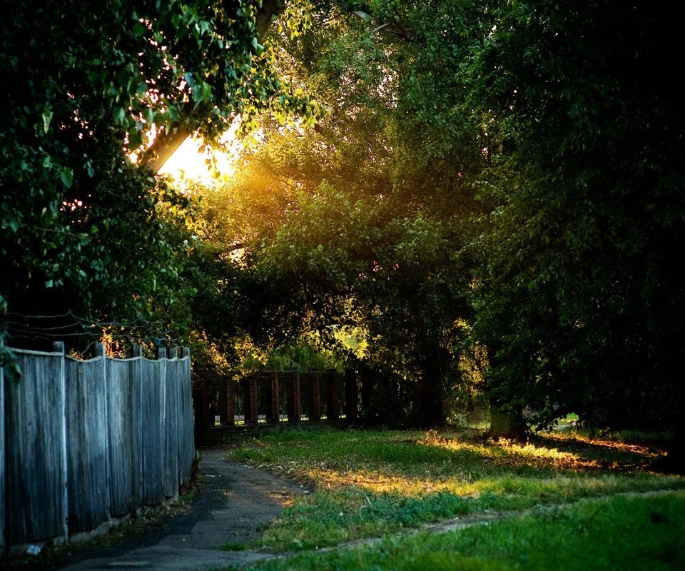 Обои свет, трава, солнце, забор, деверья, light, grass, the sun, the fence, devereaux разрешение 1920x1440 Загрузить