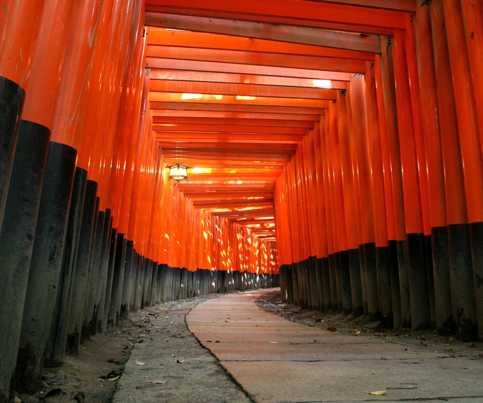 Обои дерево, храм, черный, красный, япония, синтоизм, tree, temple, black, red, japan, shinto разрешение 2560x1600 Загрузить