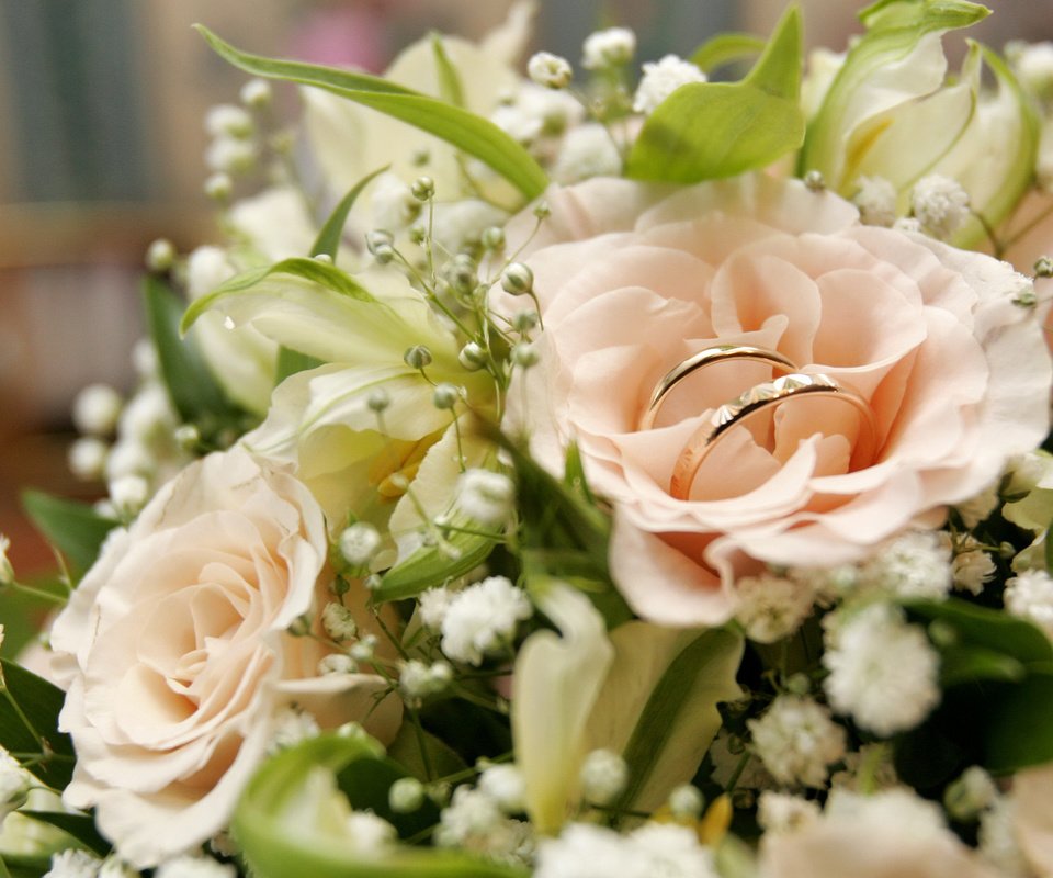 Обои розы, букет, свадьба, обручальные кольца, roses, bouquet, wedding, engagement rings разрешение 3500x2200 Загрузить