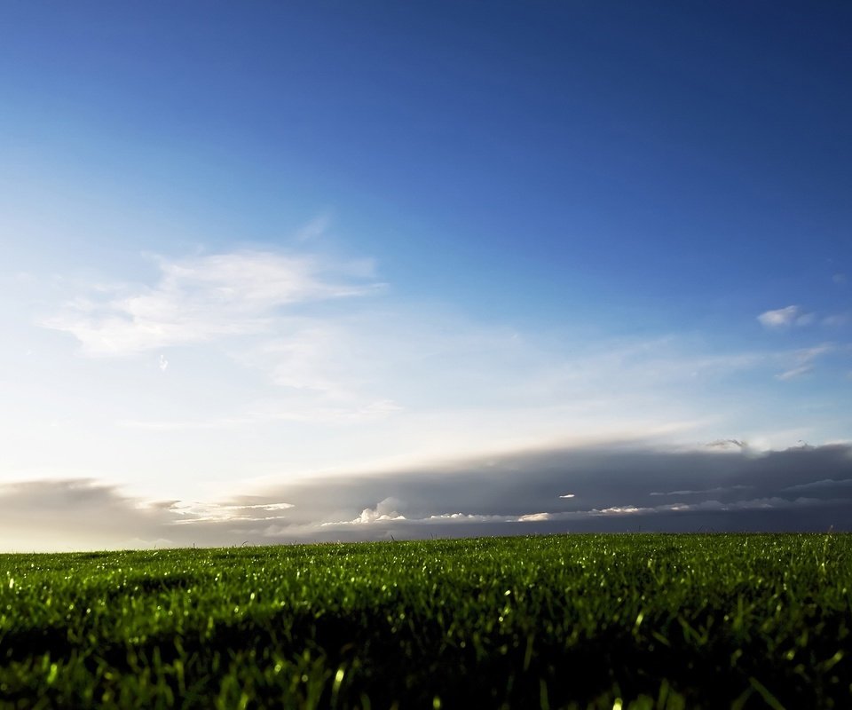 Обои небо, трава, облака, поле, the sky, grass, clouds, field разрешение 2560x1600 Загрузить