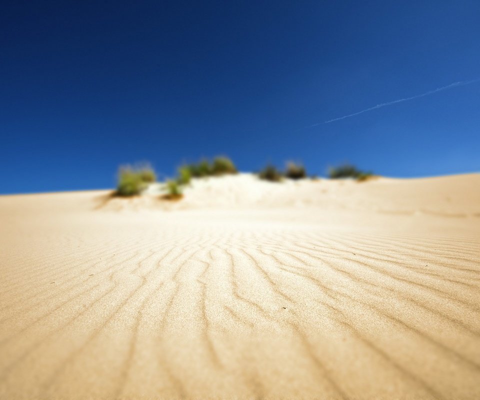 Обои фото, песок, пляж, пустыня, пейзажи, африка, photo, sand, beach, desert, landscapes, africa разрешение 1920x1200 Загрузить