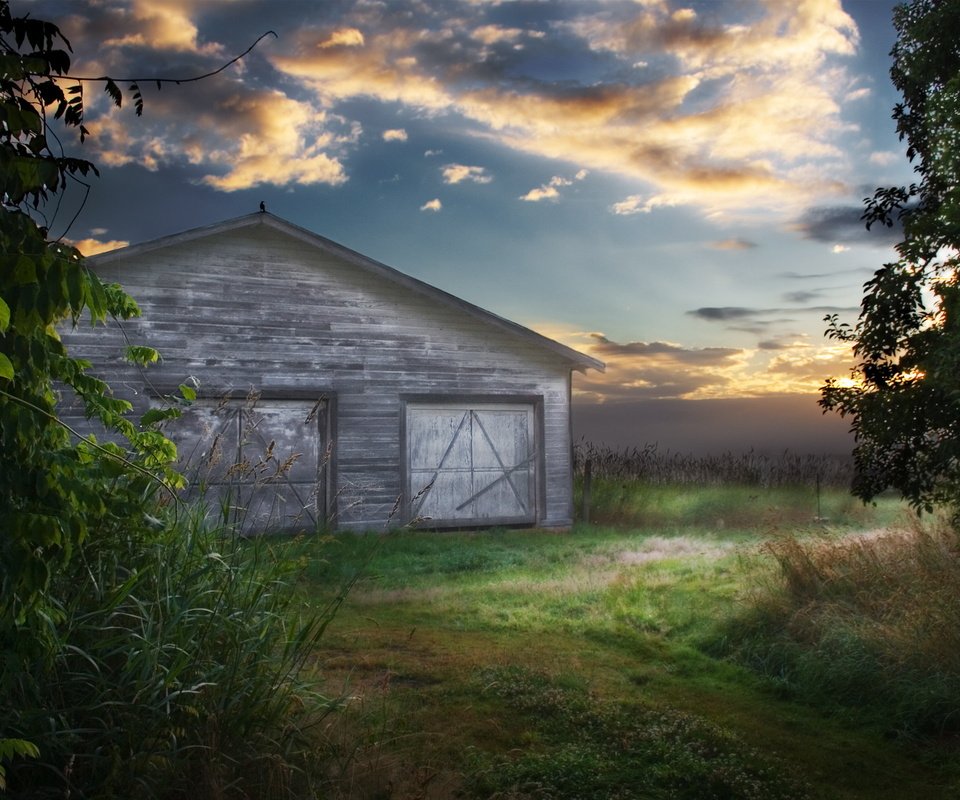 Обои небо, поле, амбар, ворона, the sky, field, the barn, crow разрешение 2560x1600 Загрузить