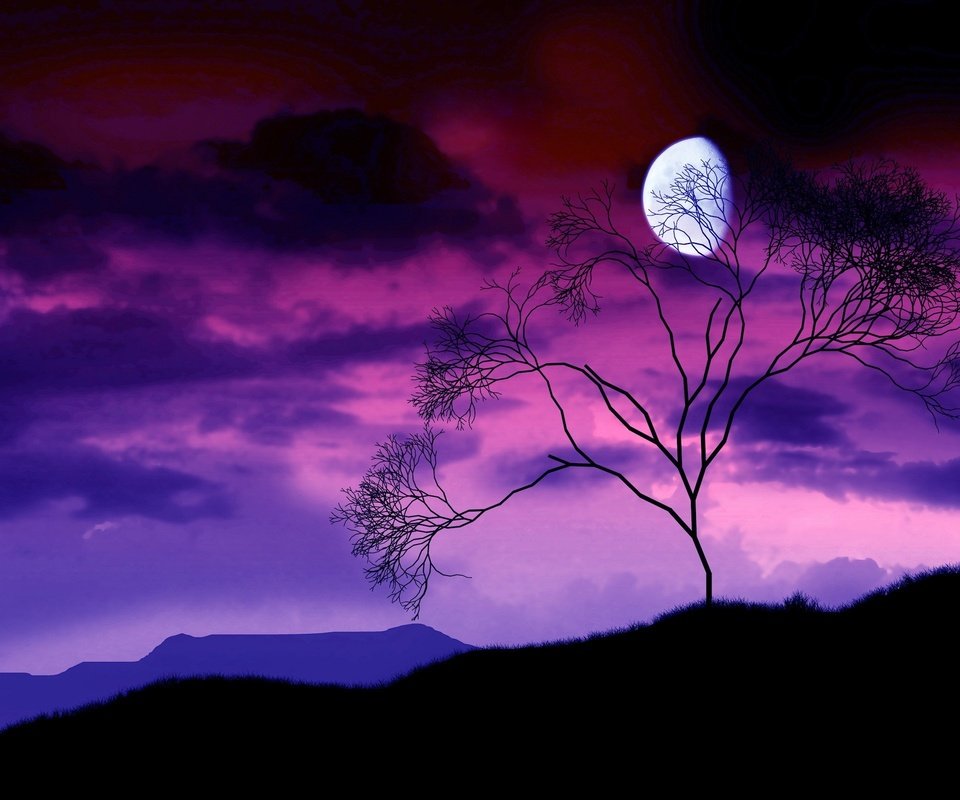 Обои ночь, дерево, ветки, луна, night, tree, branches, the moon разрешение 2560x1600 Загрузить