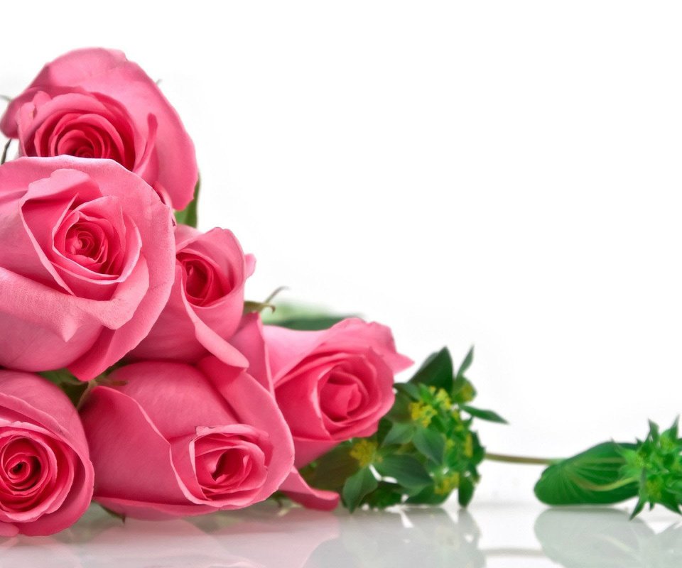 Обои цветы, бутоны, розы, роза, лепестки, букет, алая, flowers, buds, roses, rose, petals, bouquet, scarlet разрешение 1920x1200 Загрузить