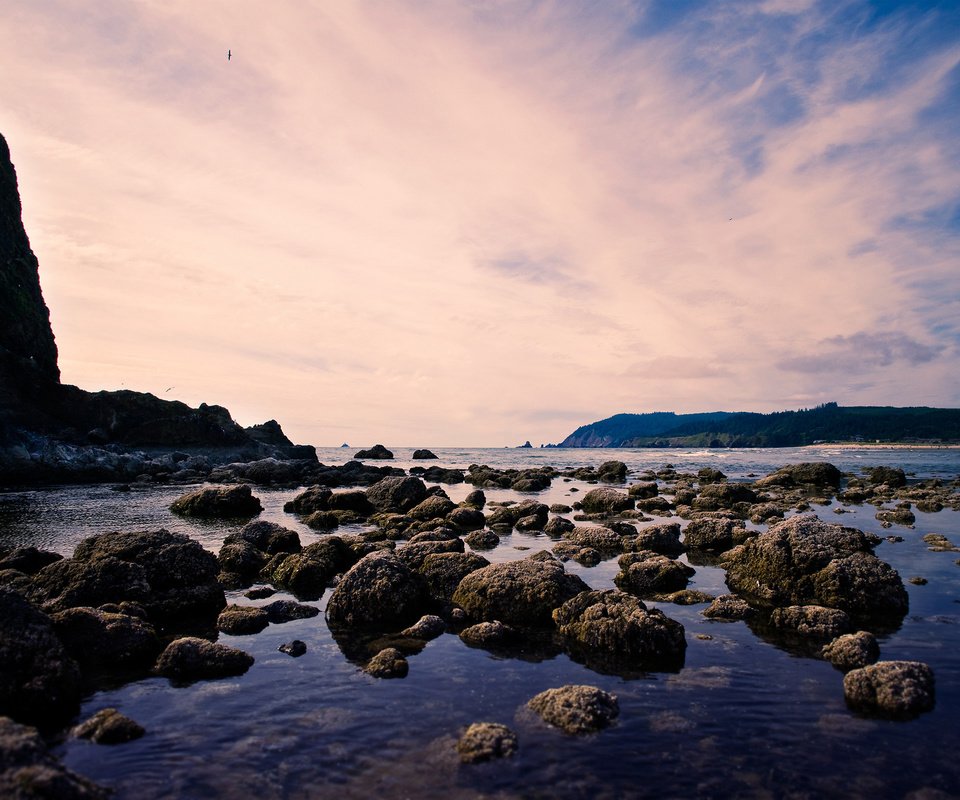 Обои облака, камни, берег, пейзаж, море, скала, птица в небе, clouds, stones, shore, landscape, sea, rock, a bird in the sky разрешение 2560x1600 Загрузить