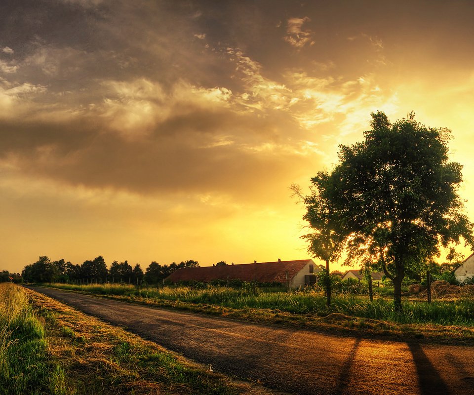 Обои дорога, трава, дерево, road, grass, tree разрешение 1920x1200 Загрузить