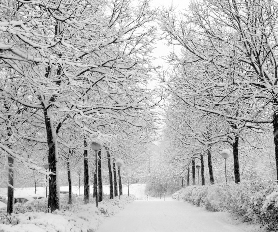 Обои снег, природа, зима, парк, чёрно-белое, аллея, уличный фонарь, snow, nature, winter, park, black and white, alley разрешение 2704x1764 Загрузить