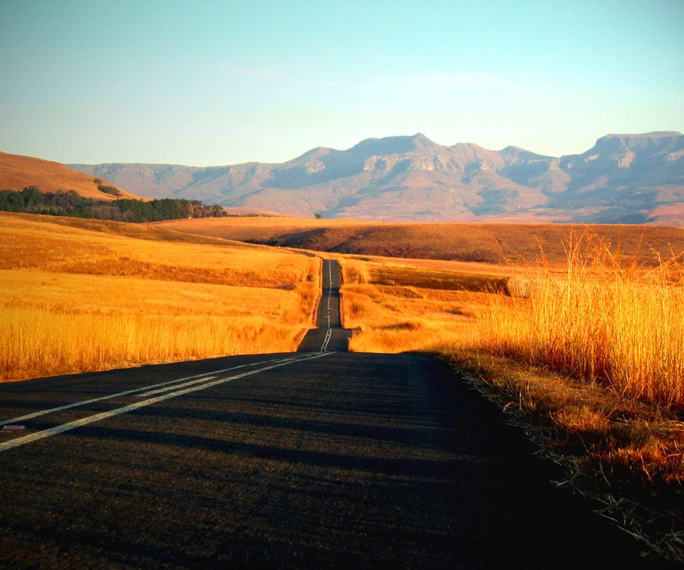 Обои дорога, трава, фото, пейзажи, красота, путь, дороги, road, grass, photo, landscapes, beauty, the way разрешение 1920x1200 Загрузить